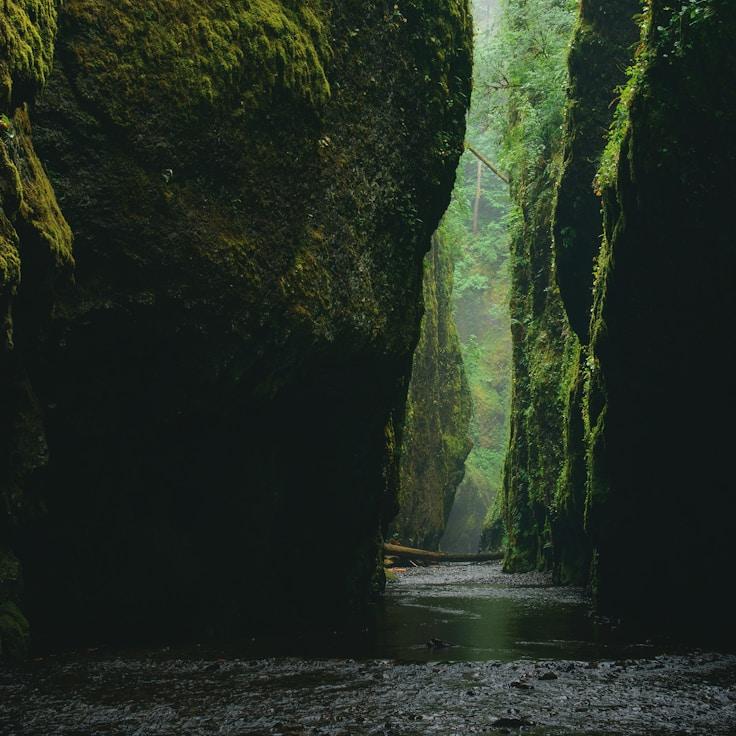 Alpine wilderness landscape